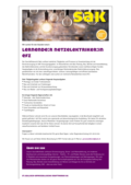 lernende-r-netzelektriker-in-efz.pdf